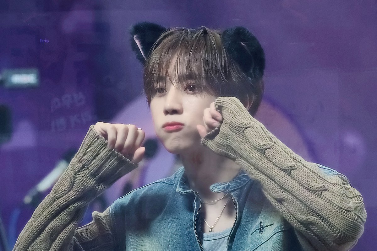 𝐈𝐫𝐢𝐬 tweet media