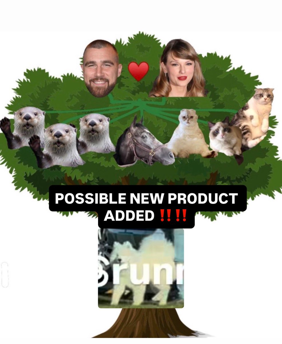 kristy⸆⸉🦦❤️‍🔥 tweet media