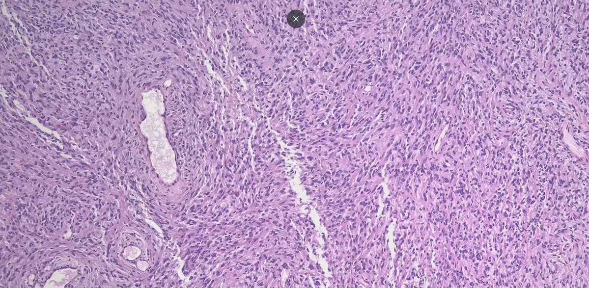 Janira Navarro tweet media