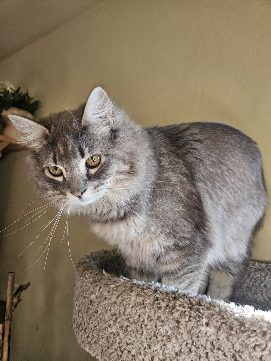 ( ͡° ͜ʖ ͡°) tweet media