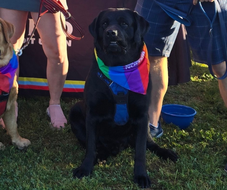 Mission Fed Credit Union tweet media