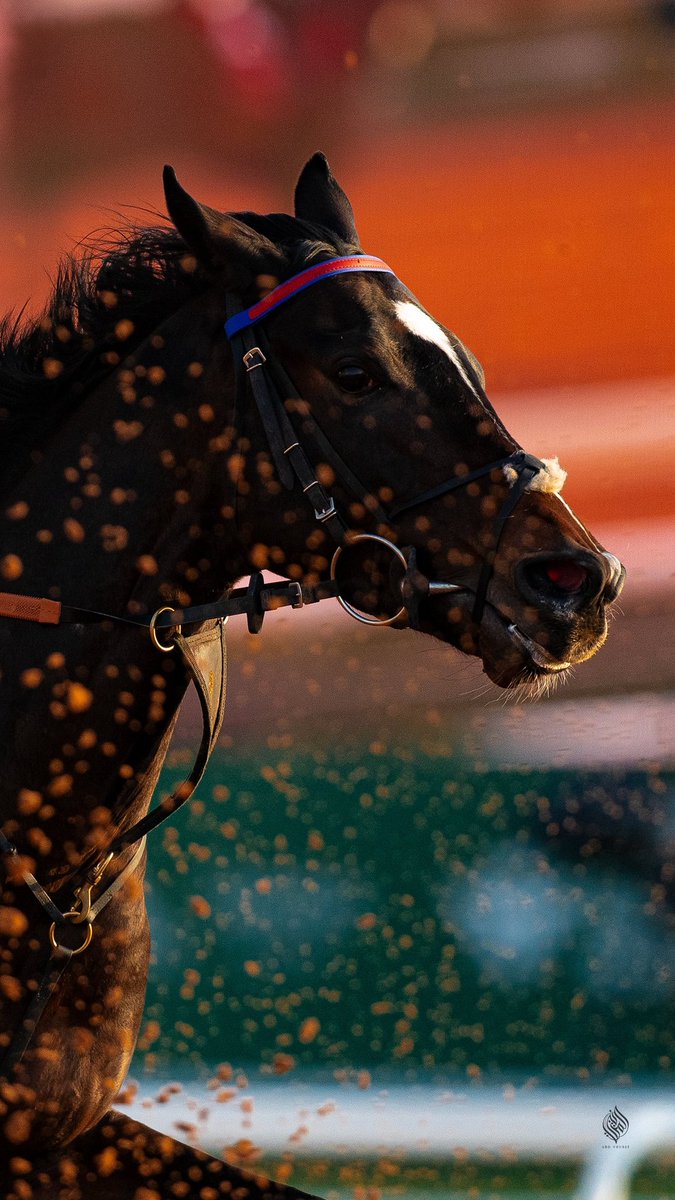 ثُمام tweet media