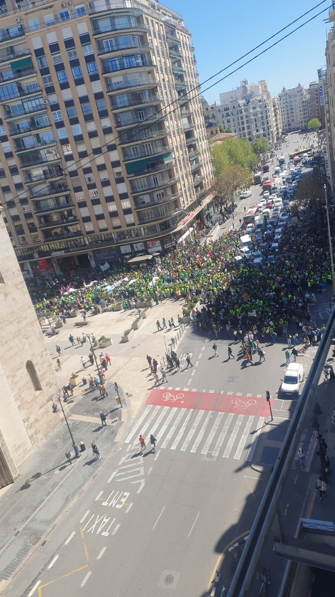 José Vico 🔻🇵🇸🇿🇦 tweet media