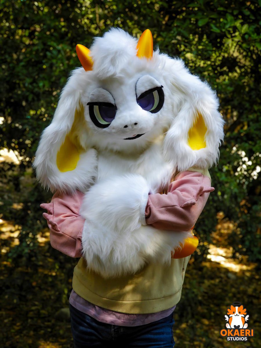 🐱 Okaeri Studios 🐱 tweet media