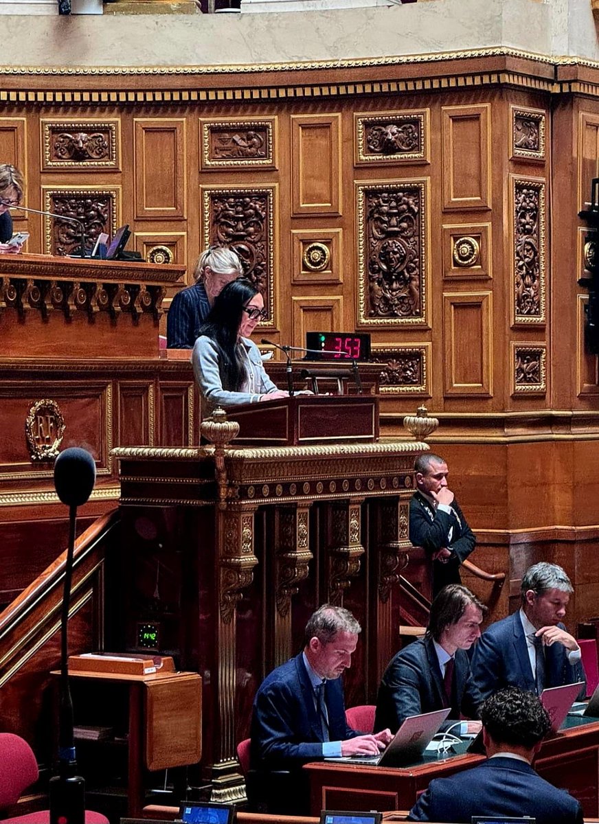 Patricia Demas tweet media