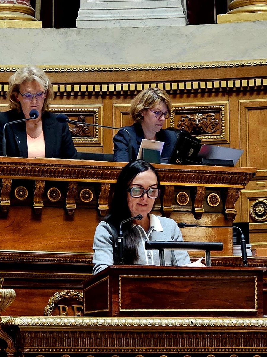 Patricia Demas tweet media