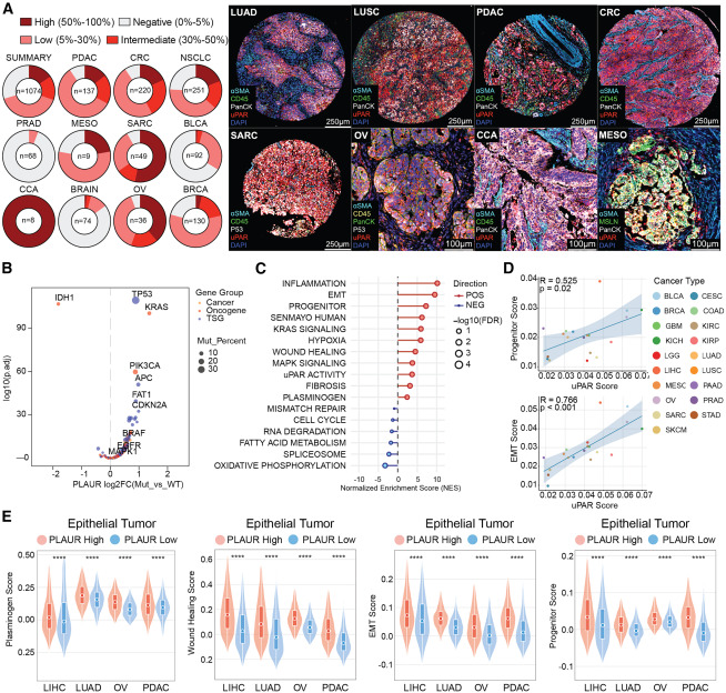 Waggoner Lab tweet media