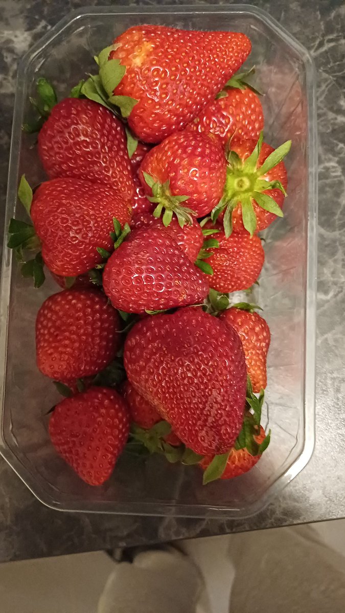 Don Quijote Proletarus Ex-Gemeindebauix🍺 tweet media