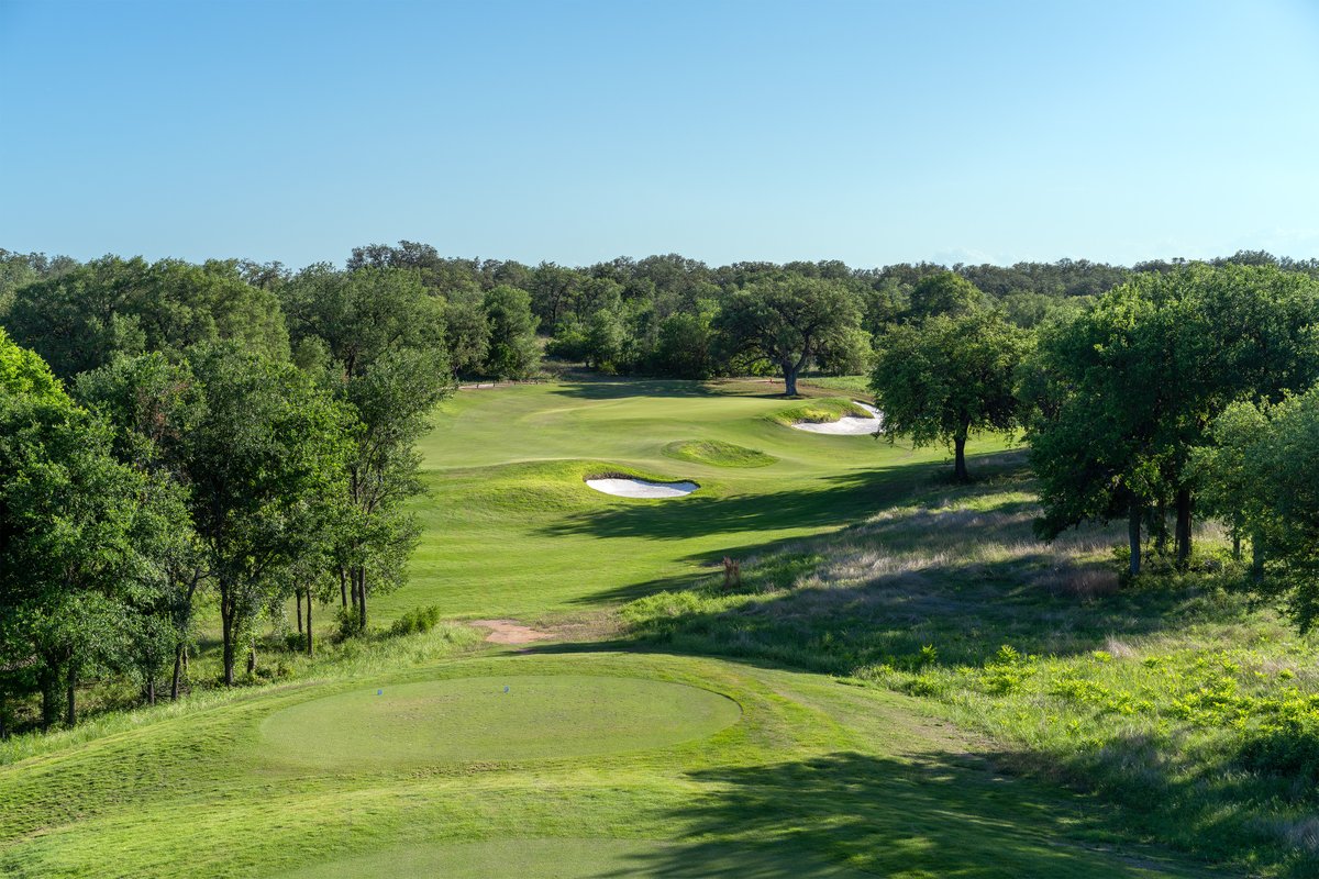 Dormie Network tweet media