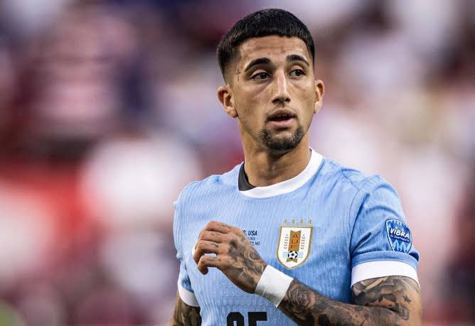 Hernan.Federico tweet media