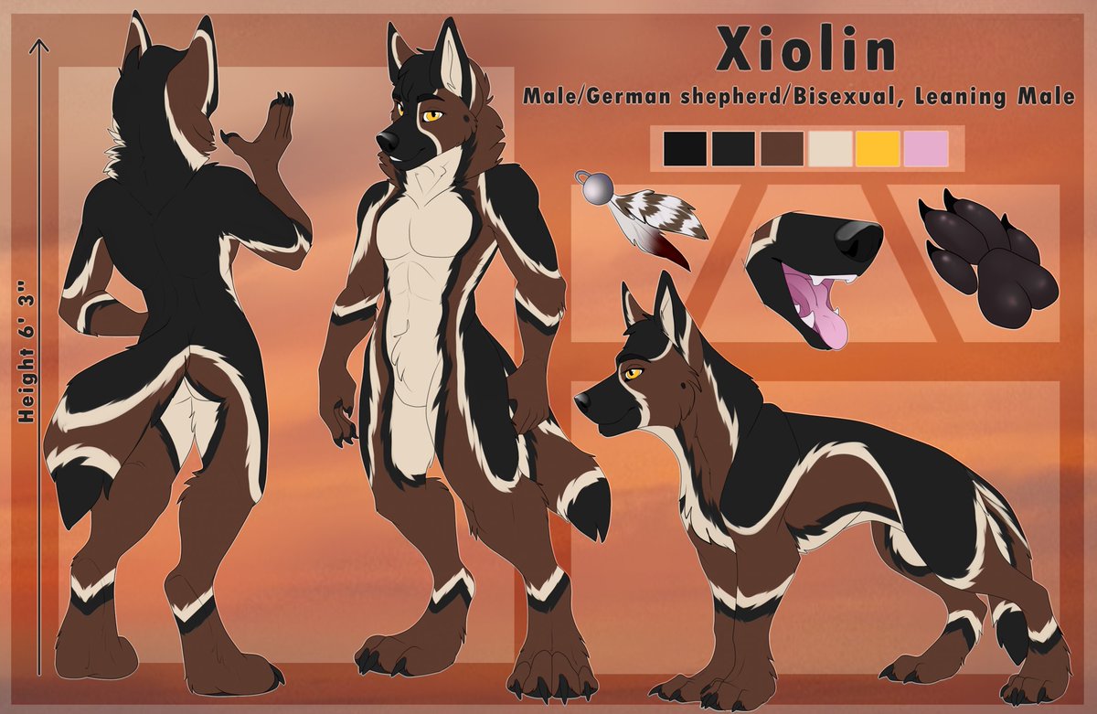Xiolin tweet media