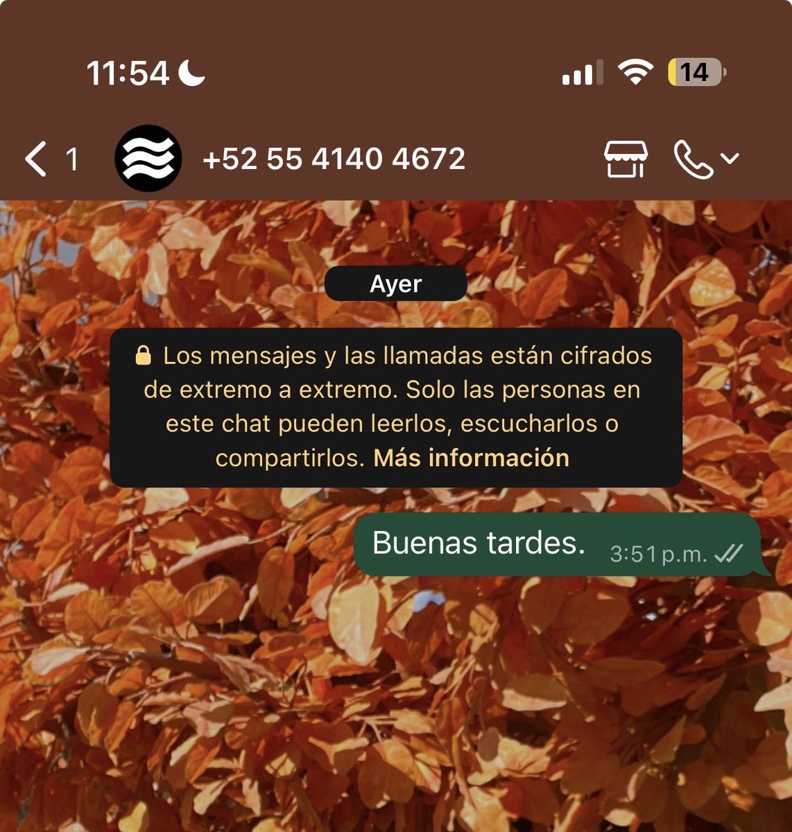 Che Chems25 tweet media