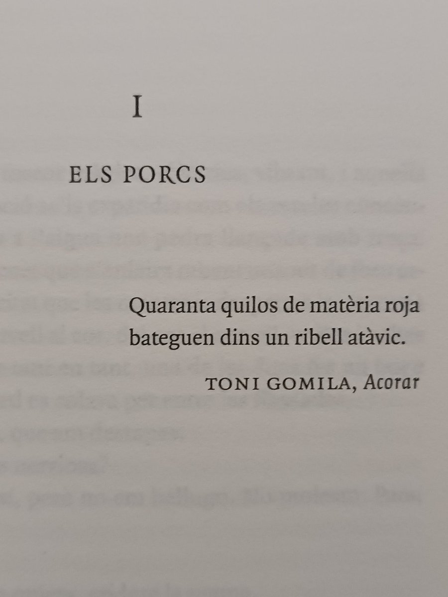 Laia Teixidor tweet media