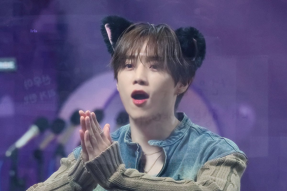 𝐈𝐫𝐢𝐬 tweet media