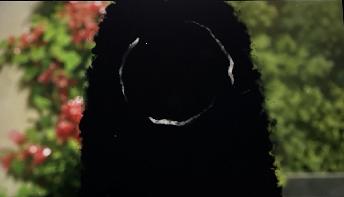 シン・ゴジライアン tweet media