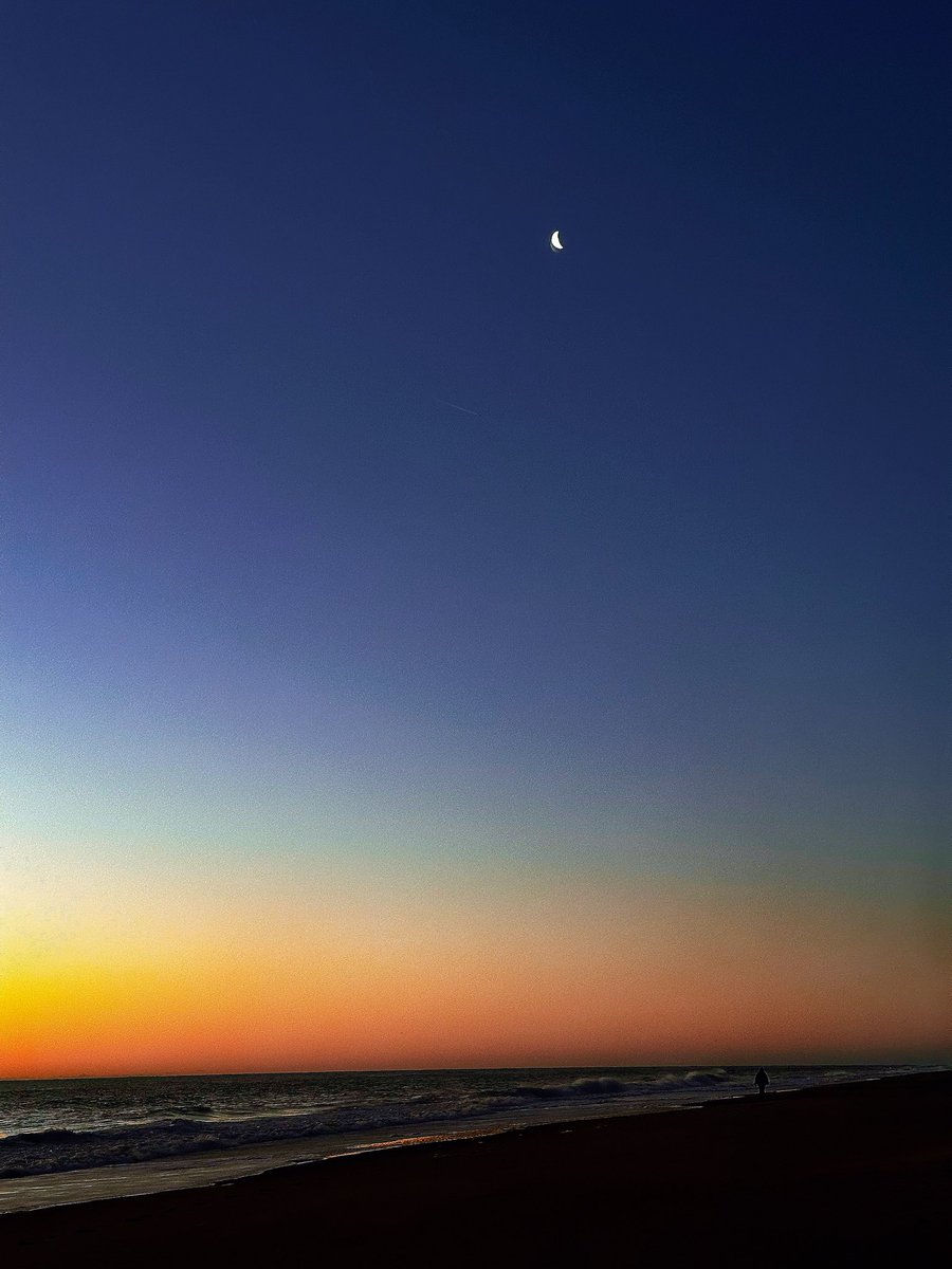 nortonbreads tweet media