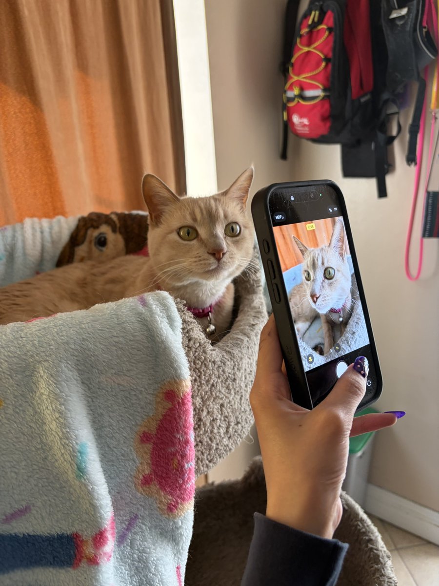 malai❤️‍🩹🪝boy milk tweet media