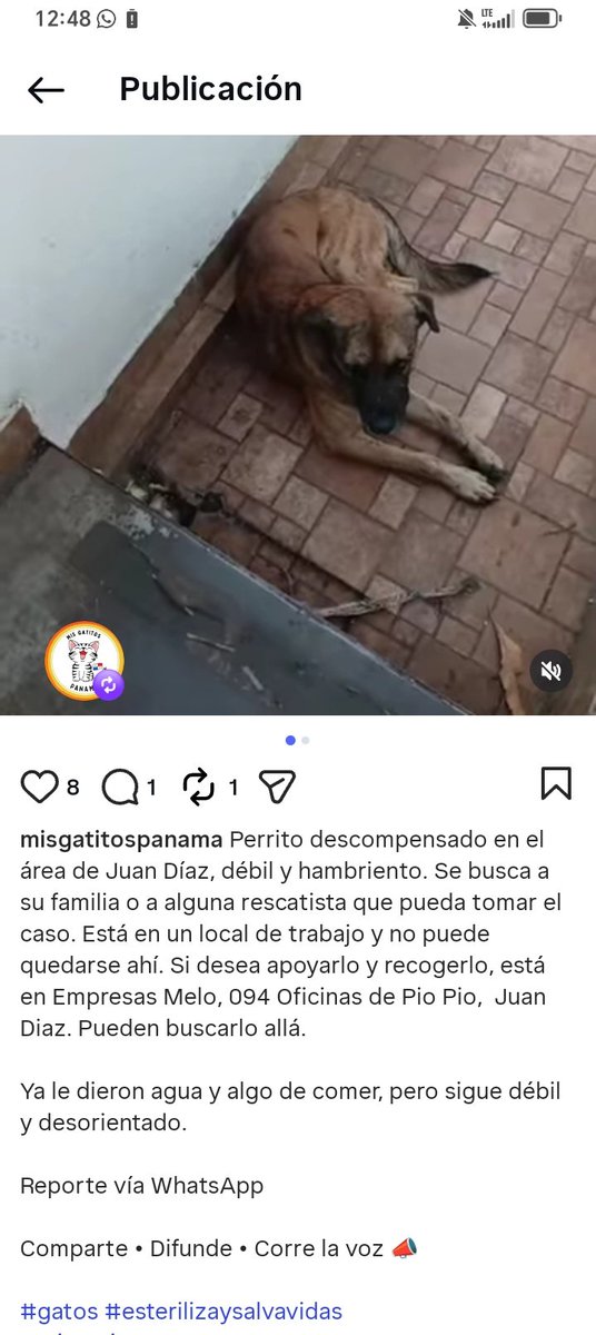 Nacelys González tweet media