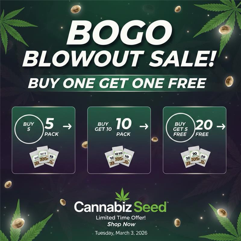 BOGO Blowout is LIVE at Cannabiz Seed! 🌱🔥 

Buy 5, 10, or 20 packs and we’ll DOUBLE your order—no codes, no gimmicks.

Shipping in USA, Canada, &amp; Australia. 📦 Inventory won’t last! 

cannabizseed.com

#marijuana #weed #cannabis #cannabisseeds #weedseeds