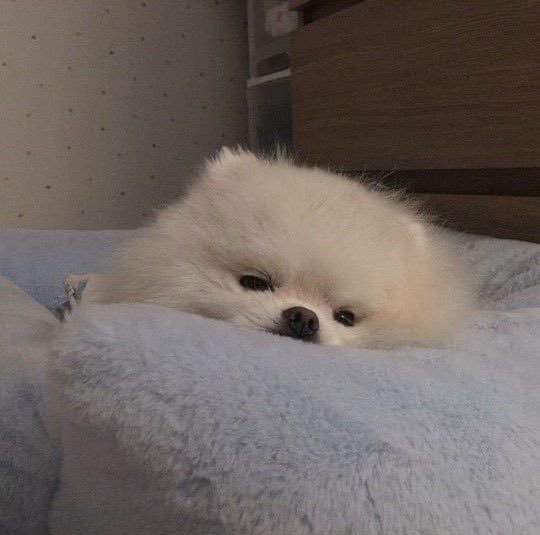 Insidethebox tweet media