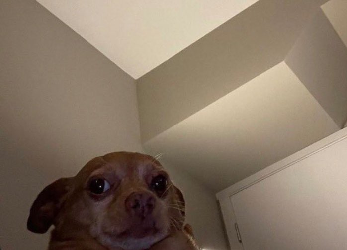 Pastor LoVeLy💎🥰🥀👅💦 tweet media