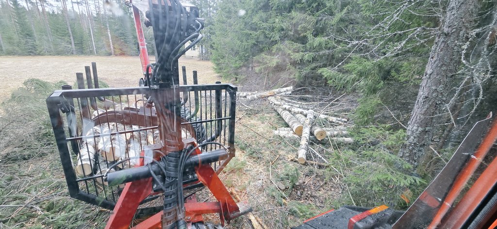 Tommi Hakala 🌲🌳 tweet media