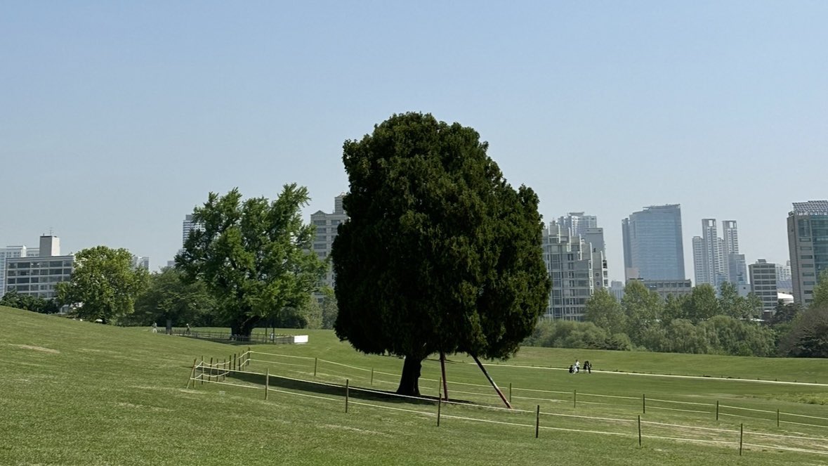 까눌레 tweet media