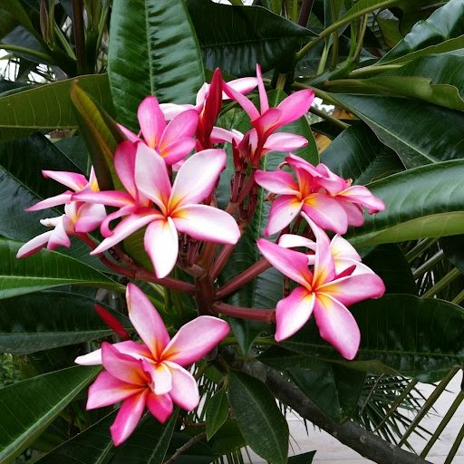 Consulting Writer tweet media