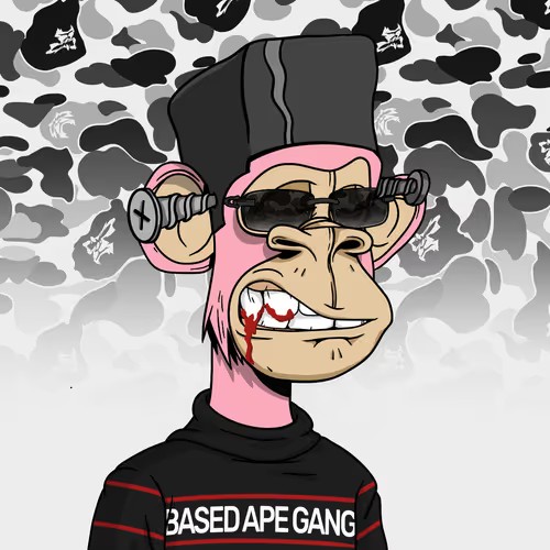 𝖇𝖆𝖘𝖊𝖉𝖆𝖕𝖊𝖇𝖔𝖙🦍 tweet media