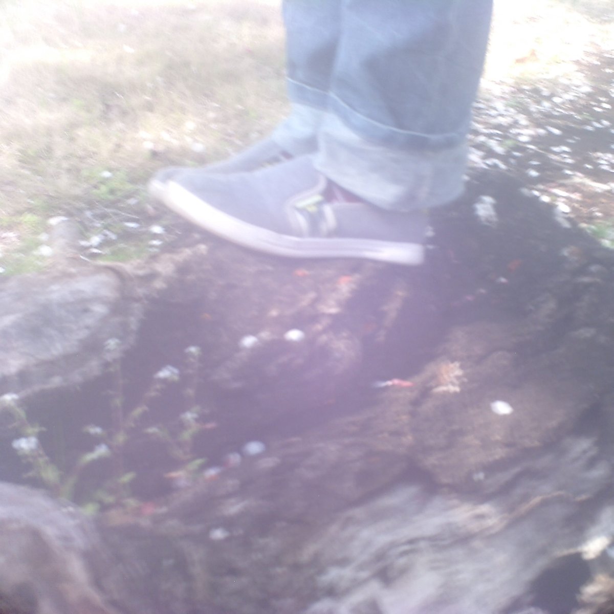 VQ1015_entry's tweet image. #toycamera #トイデジ #カメラ #写真 
#HOLGA #HOLGA_Digital