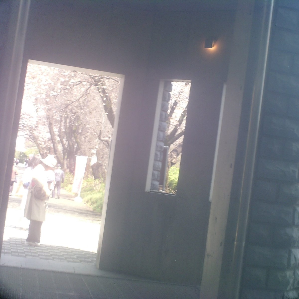 VQ1015_entry's tweet image. #toycamera #トイデジ #カメラ #写真 
#HOLGA #HOLGA_Digital