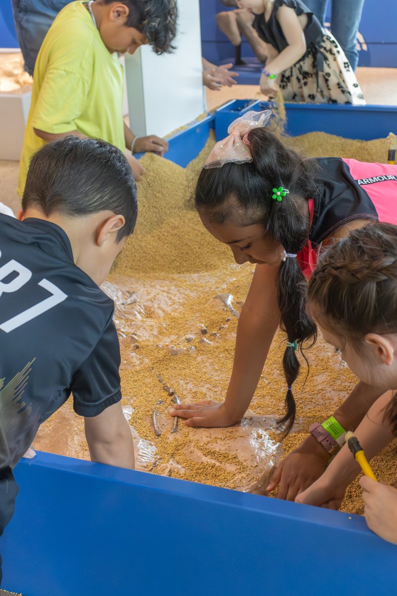 Witte Museum ~ Nature, Science & Culture tweet media