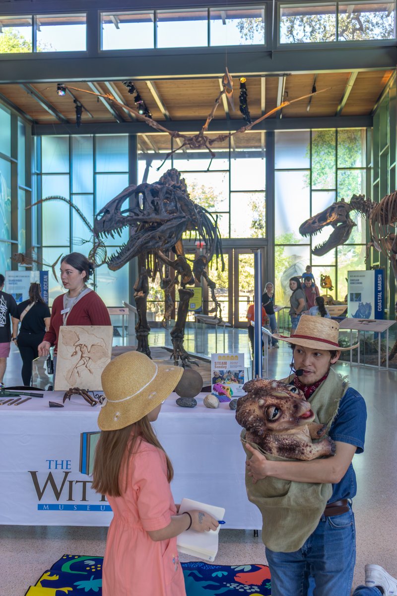 Witte Museum ~ Nature, Science & Culture tweet media