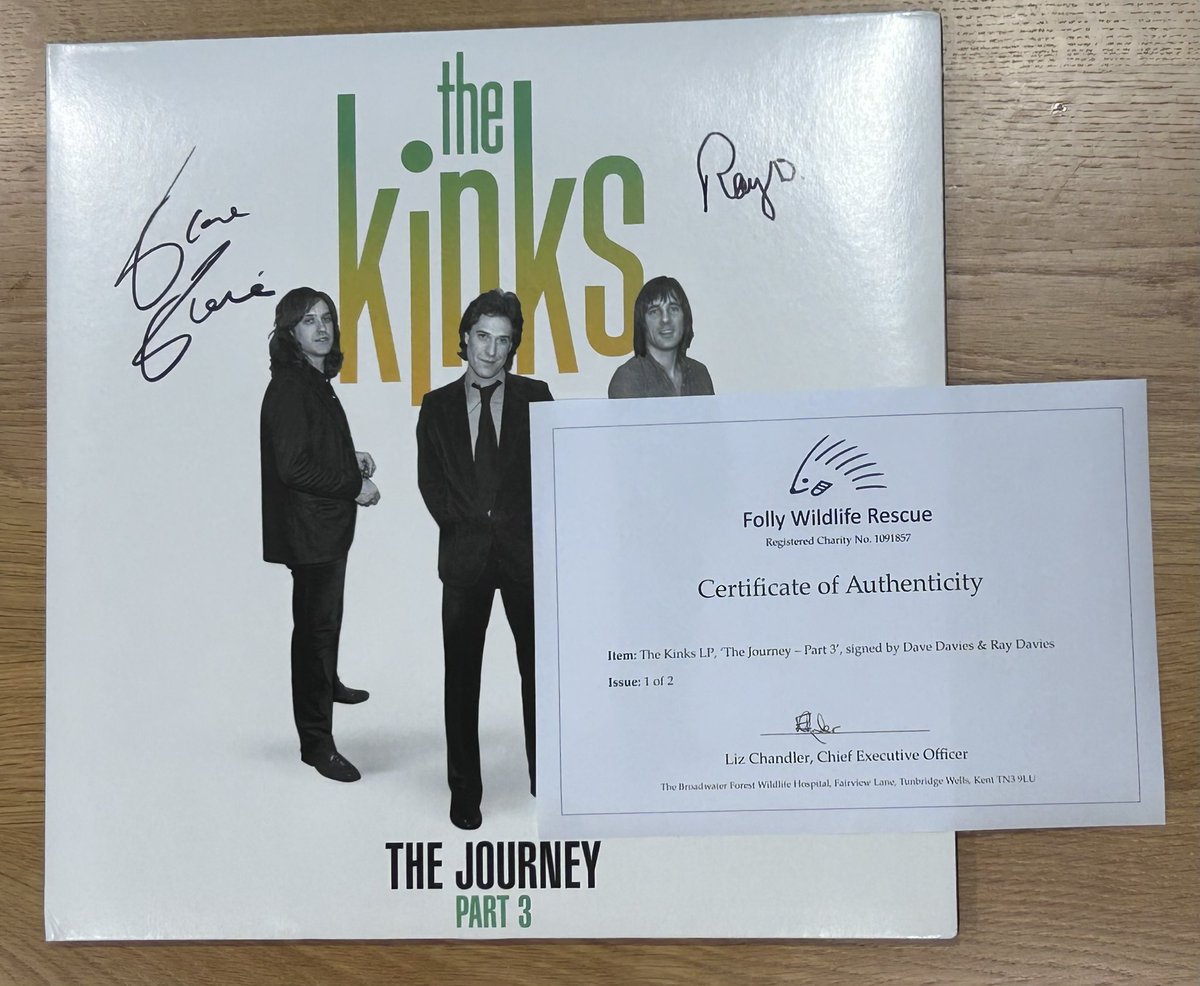 Folly Wildlife Rescue tweet media