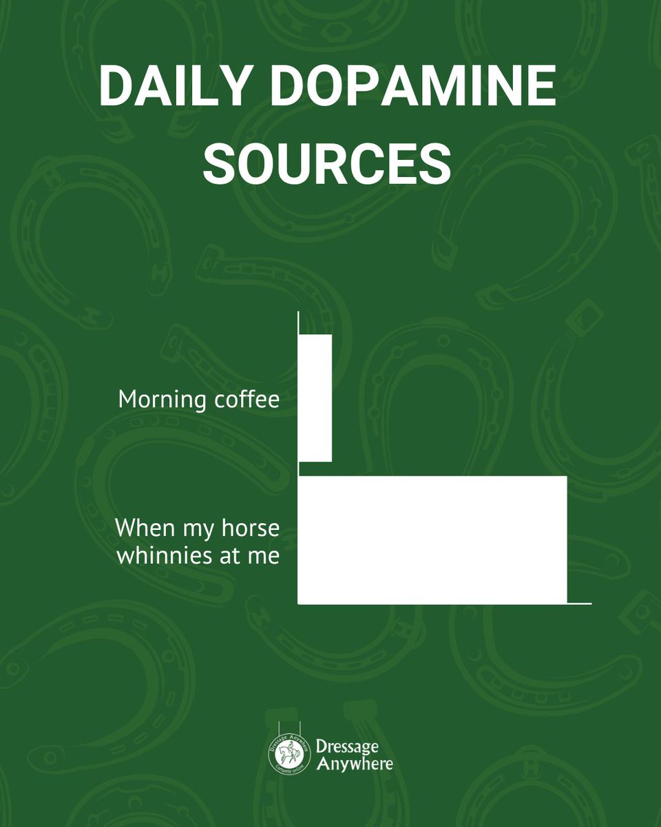 Dressage Anywhere tweet media