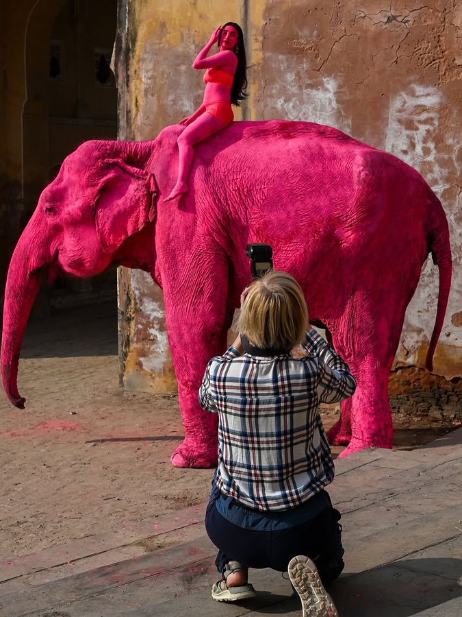 postman 🪩 tweet media