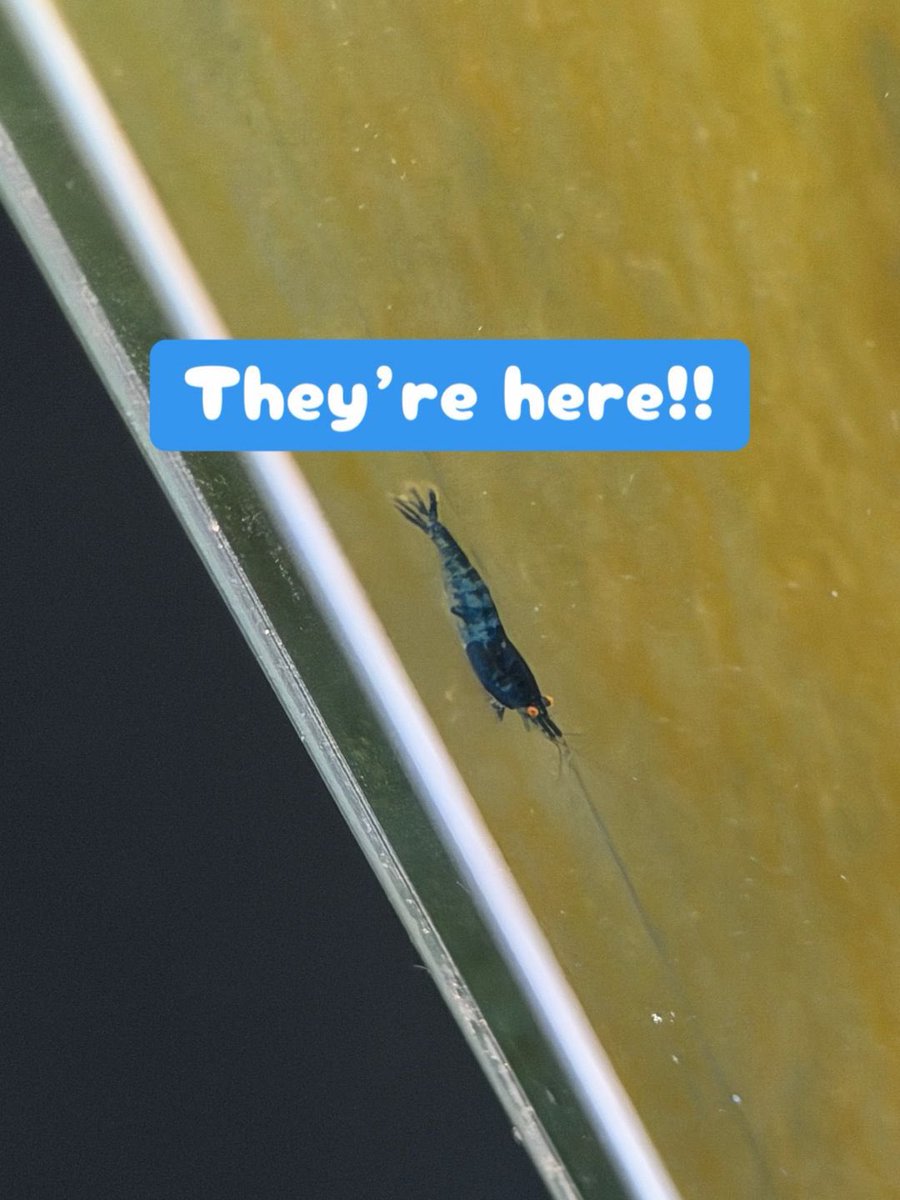 Voidy 🏳️‍⚧️🖤 tweet media