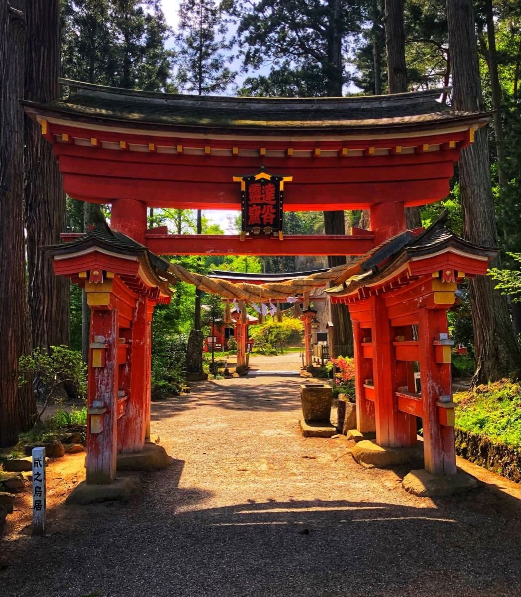 Carnivore Aurelius ©🥩 ☀️🦙 tweet media