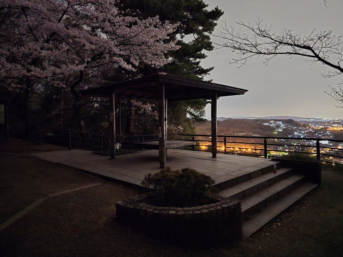 Jomube 🌸 tweet media