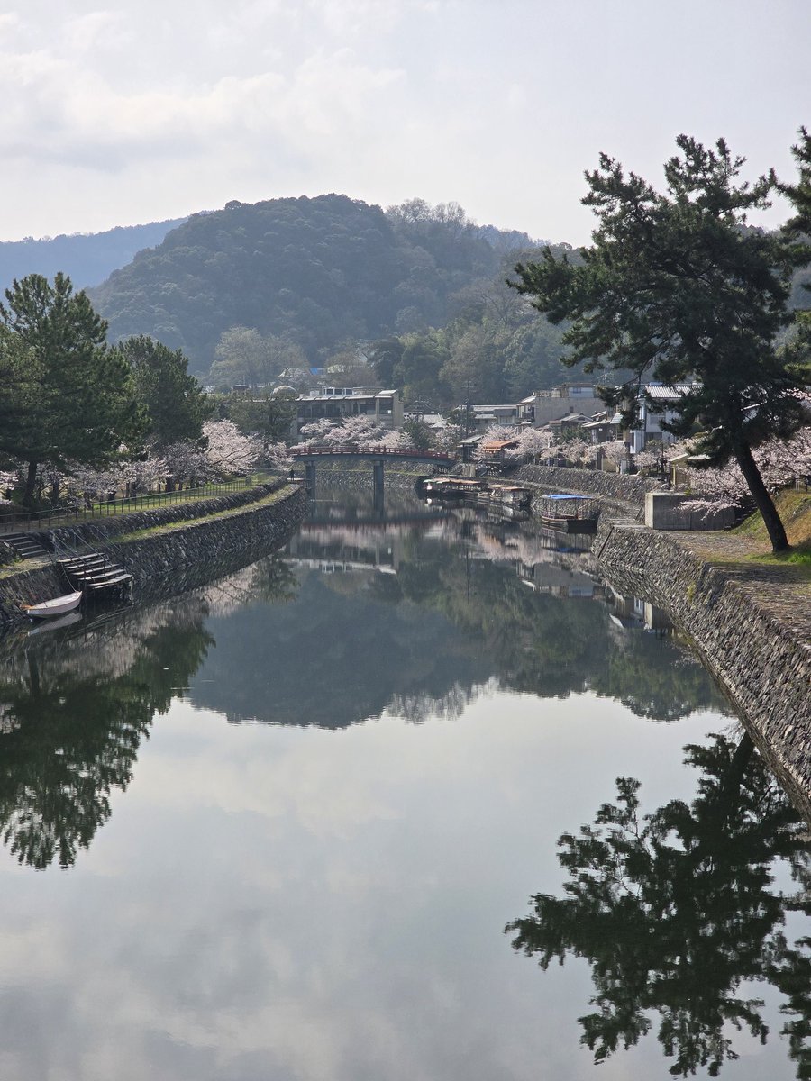 Jomube 🌸 tweet media