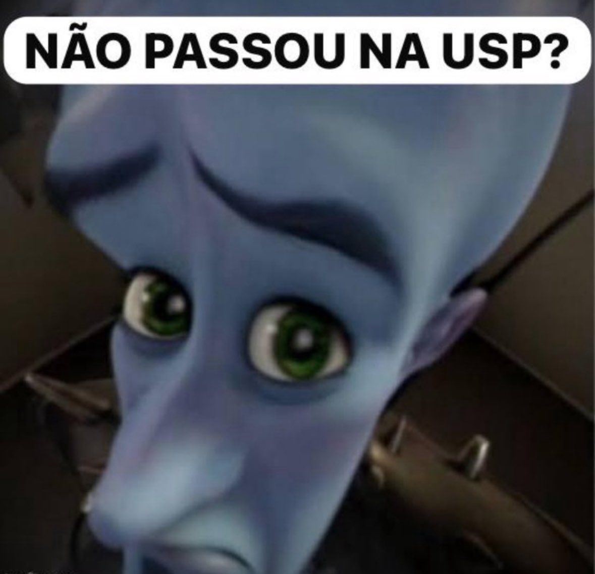 renan é USP, UNESP e UFSCar🧪🏳️⚧️ tweet media