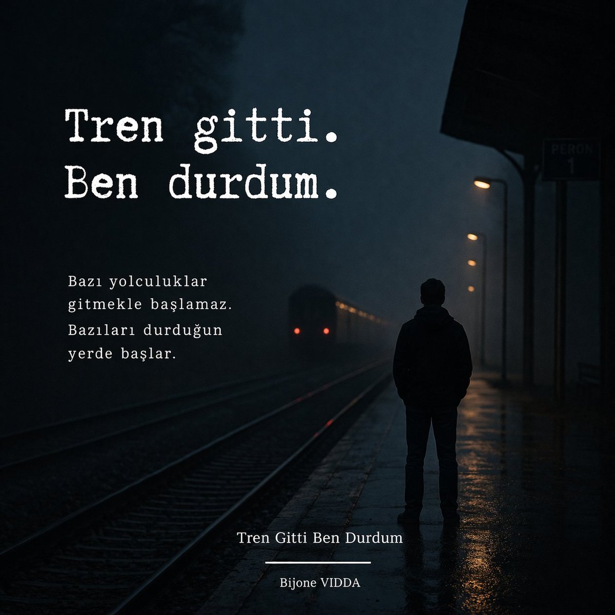 Bijone VIDDA tweet media