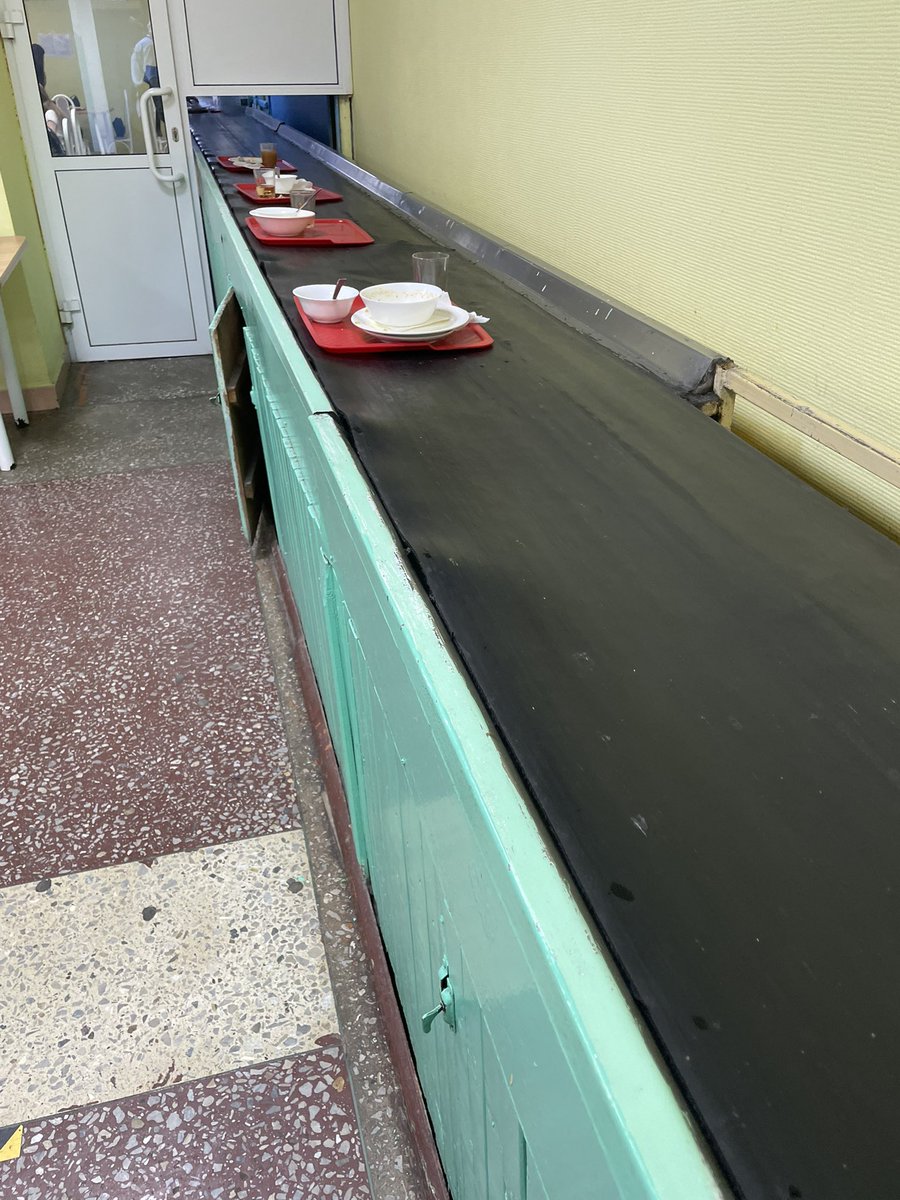 кот Алибасова tweet media