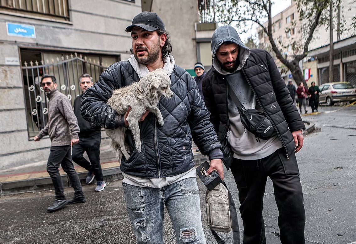 Image Trust tweet media