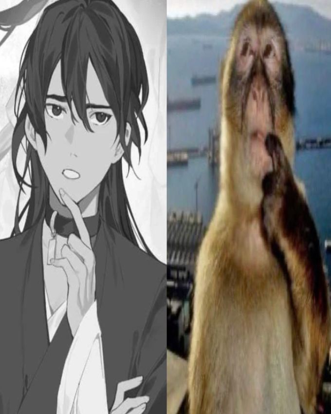 ⋆｡°✩ raetts³ ¹⁶ tweet media