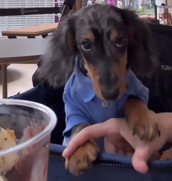 Fibi 🦄🪽 tweet media