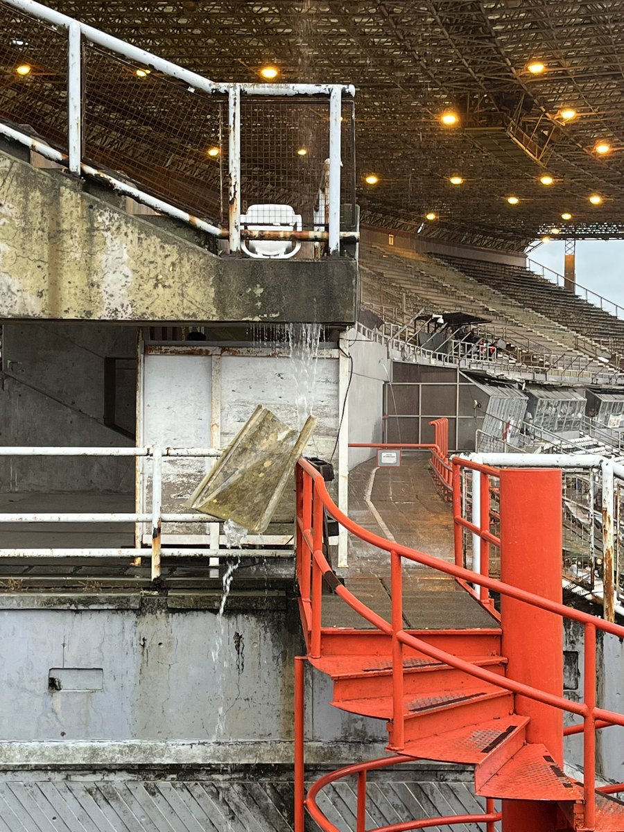 El Verdoso 🟩🟨🟩 tweet media