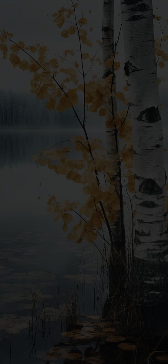 ○𝗙𝗙𝗜𝗖𝗜𝝙𝗟𝗧○𝗠𝗠𝗦𝗞𝝙𝗥𝗦𝗚𝝙𝗥𝗗 ☪ tweet media