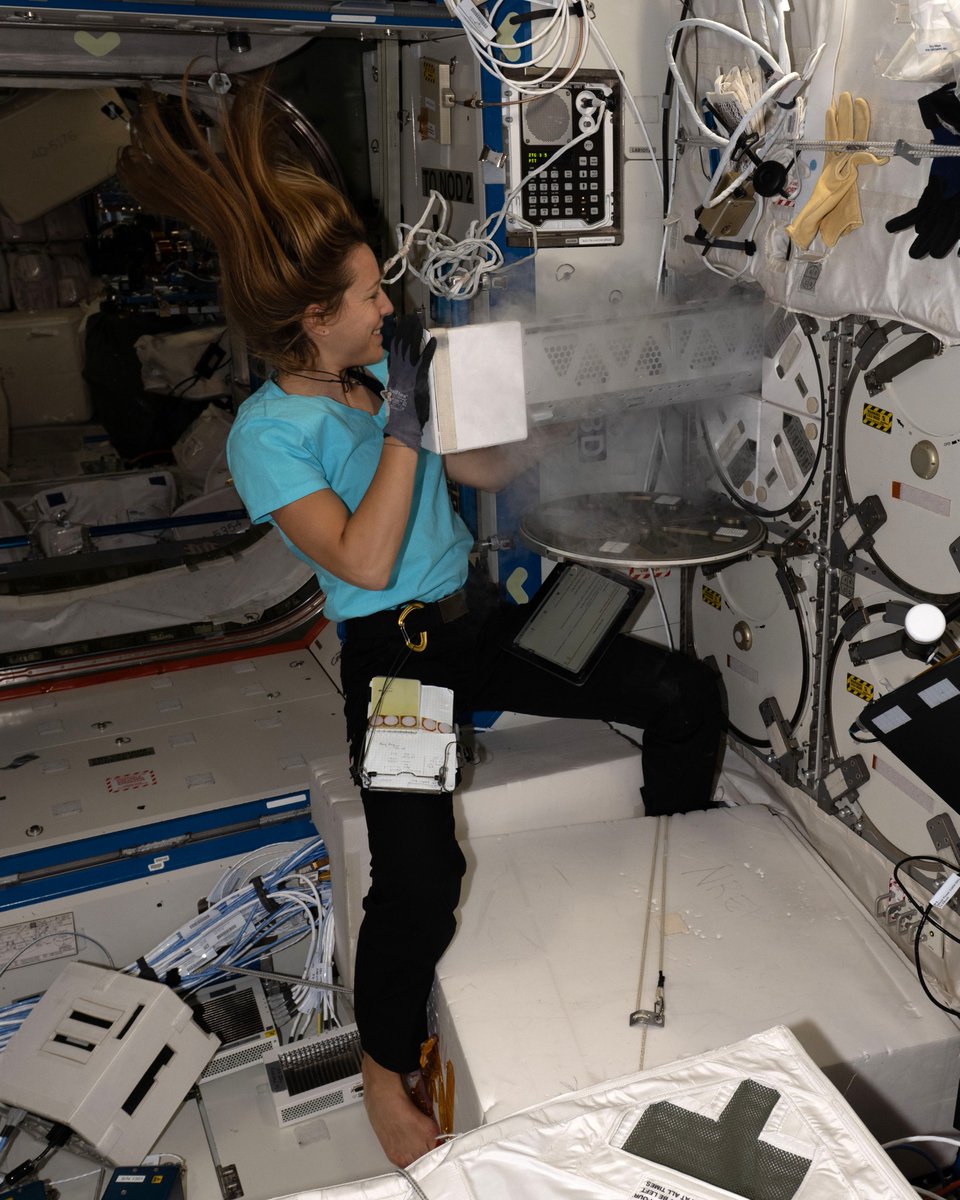 Adenot Sophie tweet media