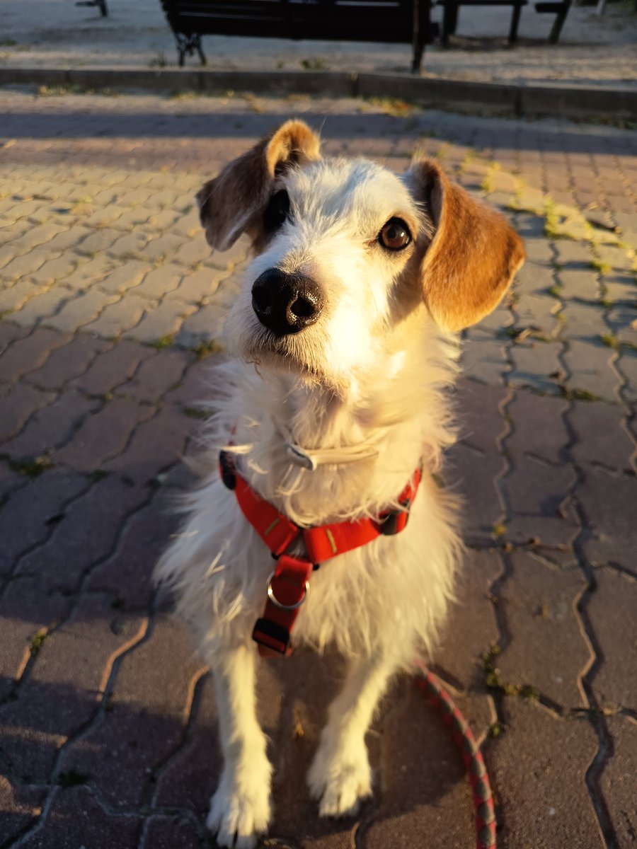 ⛥ B̷e̷a̶ ⛧ tweet media